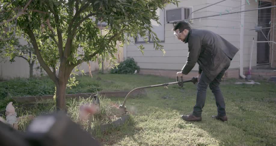 A man using a weed trimmer around a tree