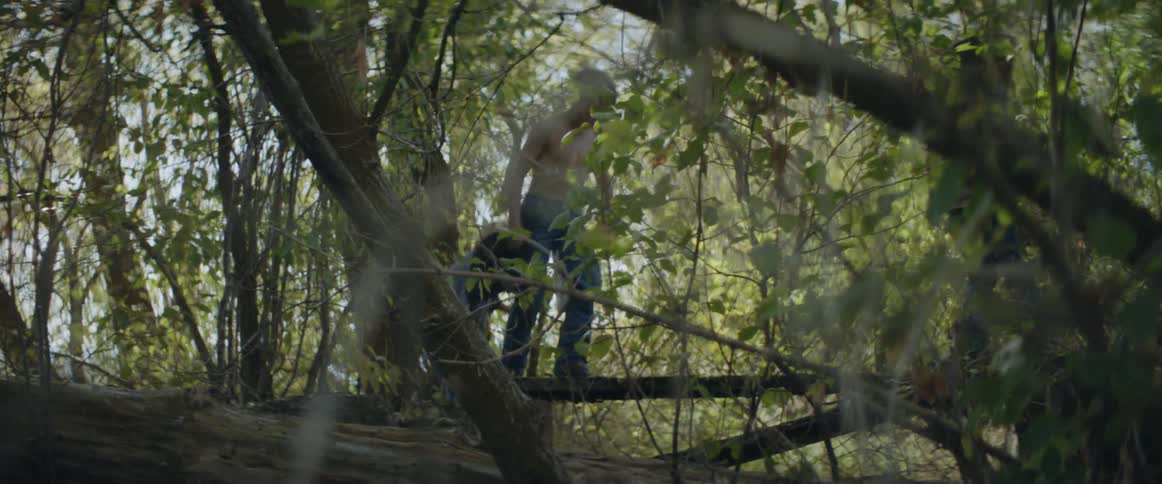 The kids climb the branches on a sunny day