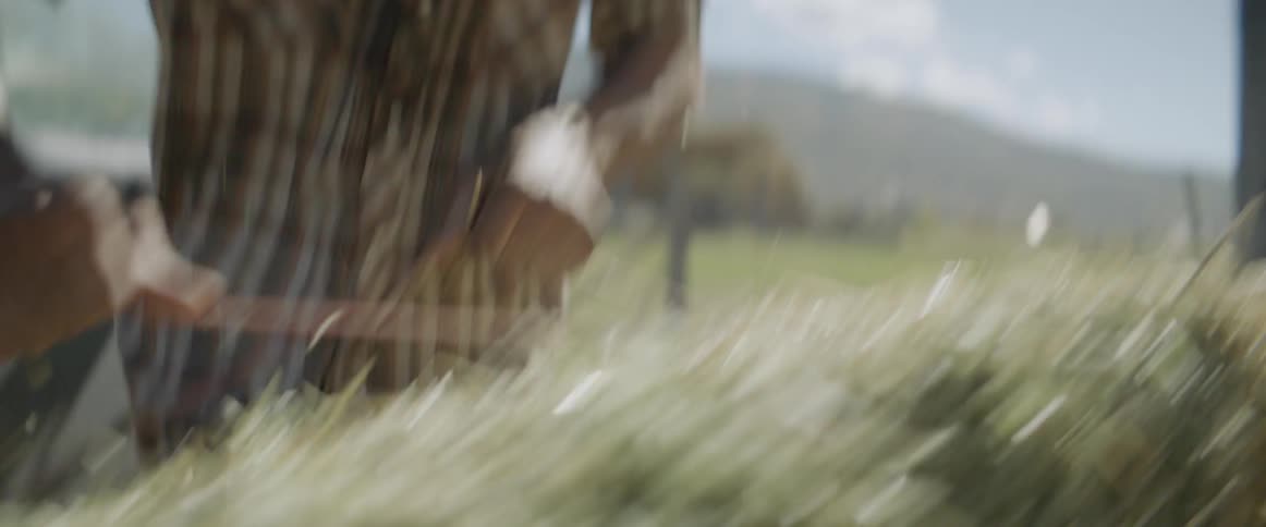 Man unloads bales of hay on a ranch