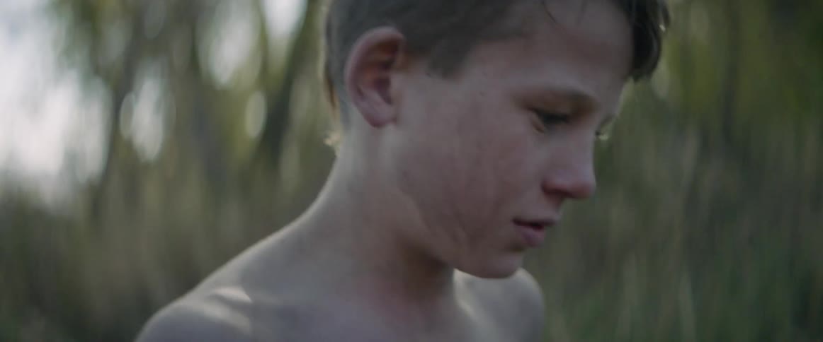 A young boy without a shirt is walking through the tall grass