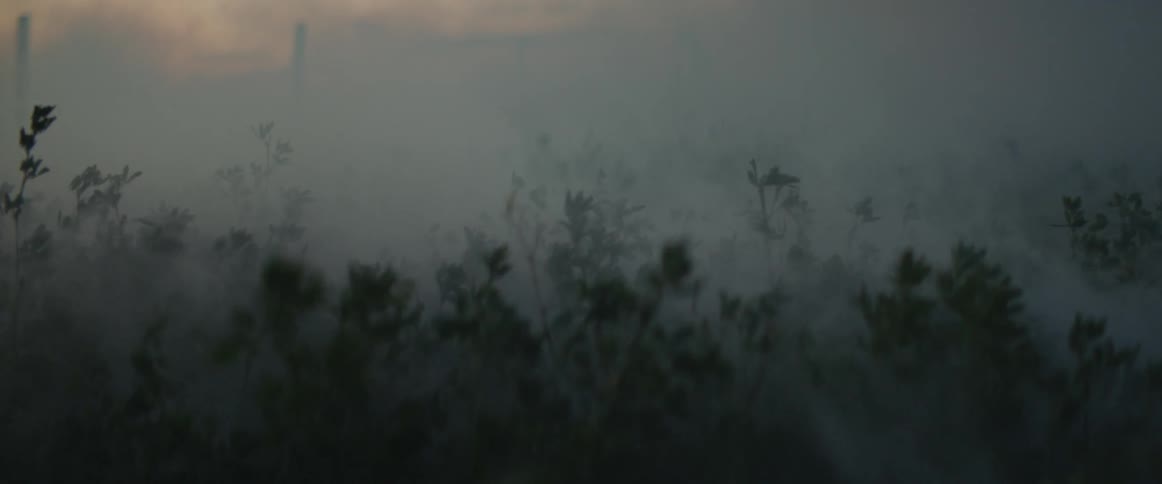 A field of fog is being walked through