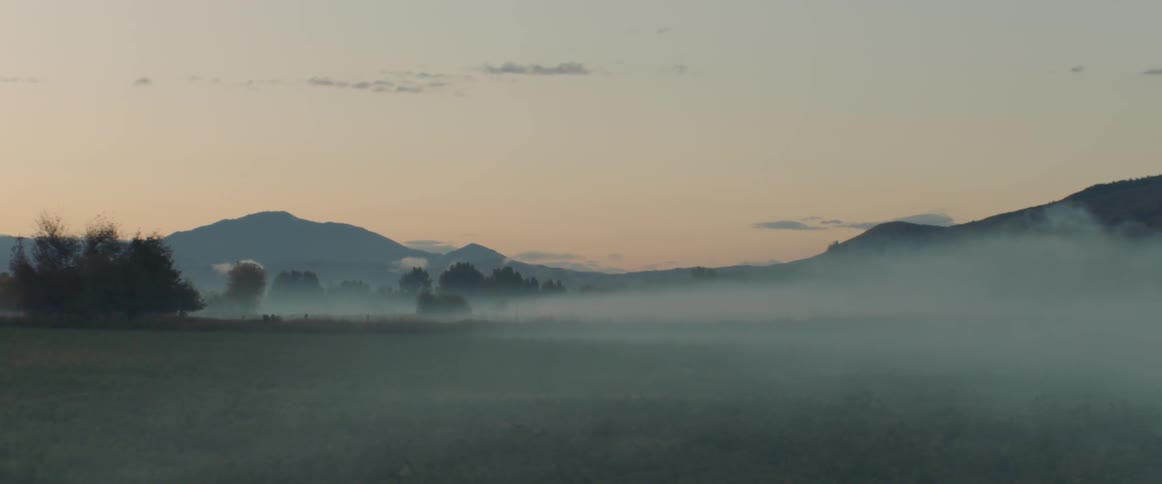 Fog covers a grassy field at dawn