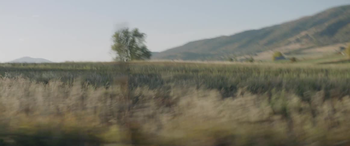 The long field is lined with a wire fence