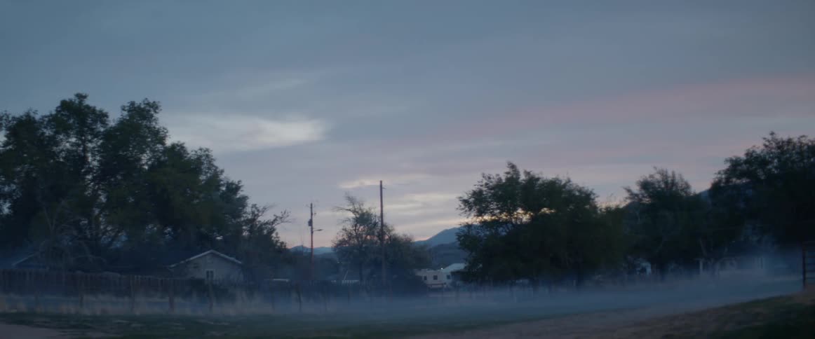 Mist on a country road
