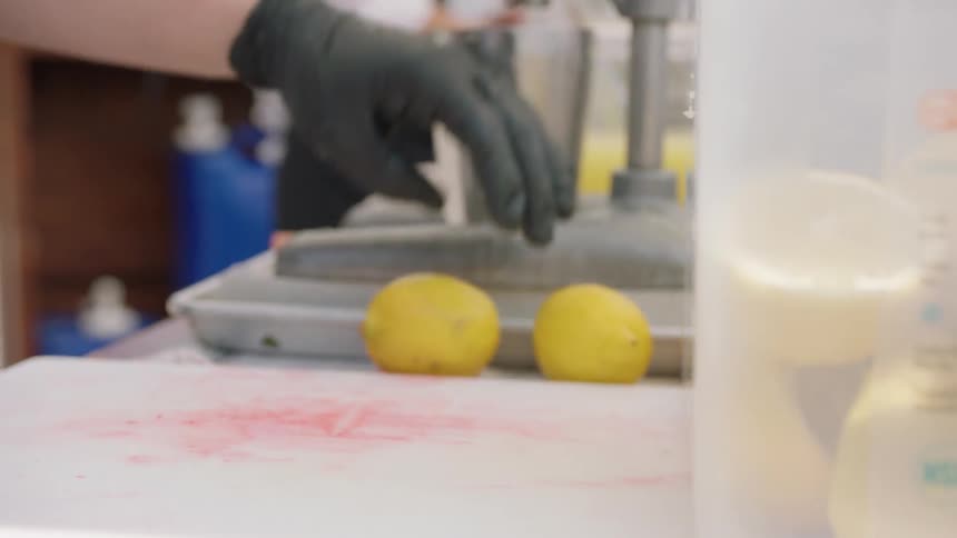 Worker cuts up lemons on a cutting board