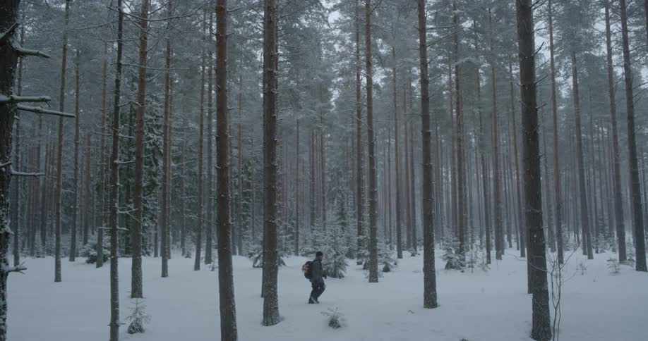 Hiker walks through snowy woods