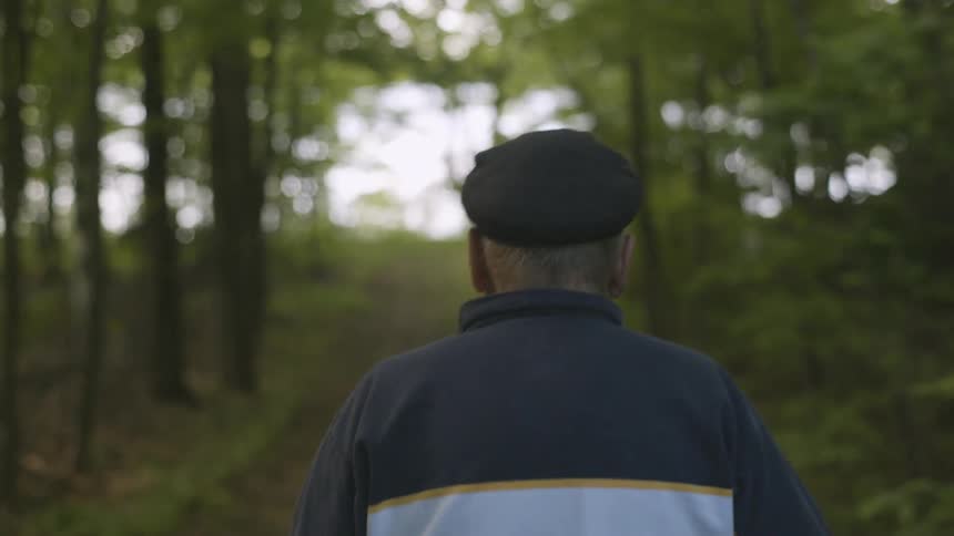 A man walks through the woods during the day