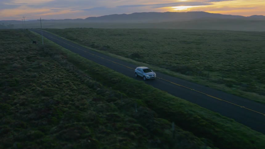 A car drives past a cow in a field at sunset