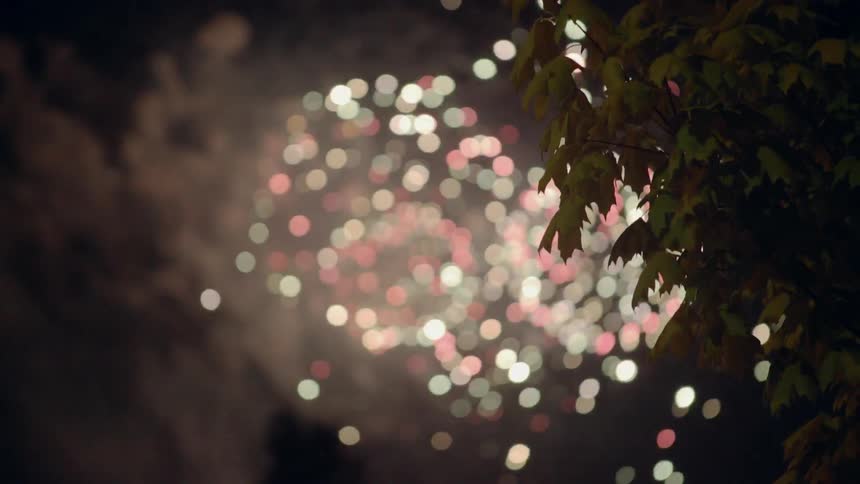 Fireworks Seen Past a Tree