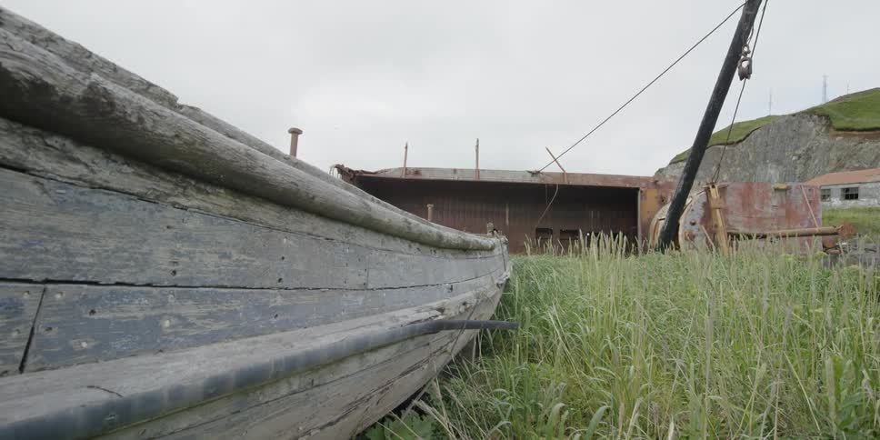 An old boat sits in grass