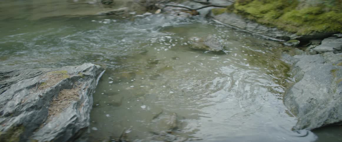 A small stream is flowing into a small creek