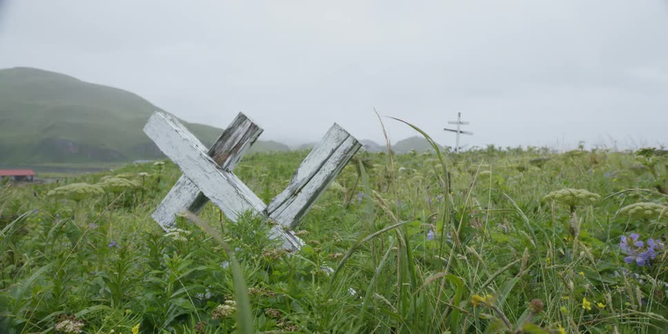White washed wooden cross sticks out in a grass field