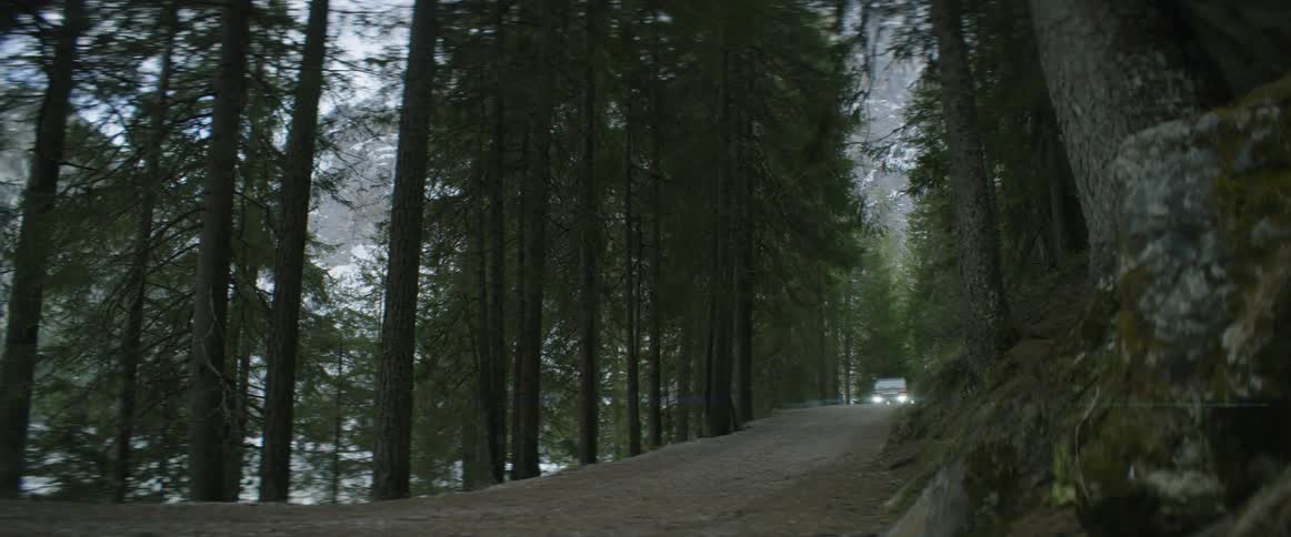 A vehicle drives on a forest road