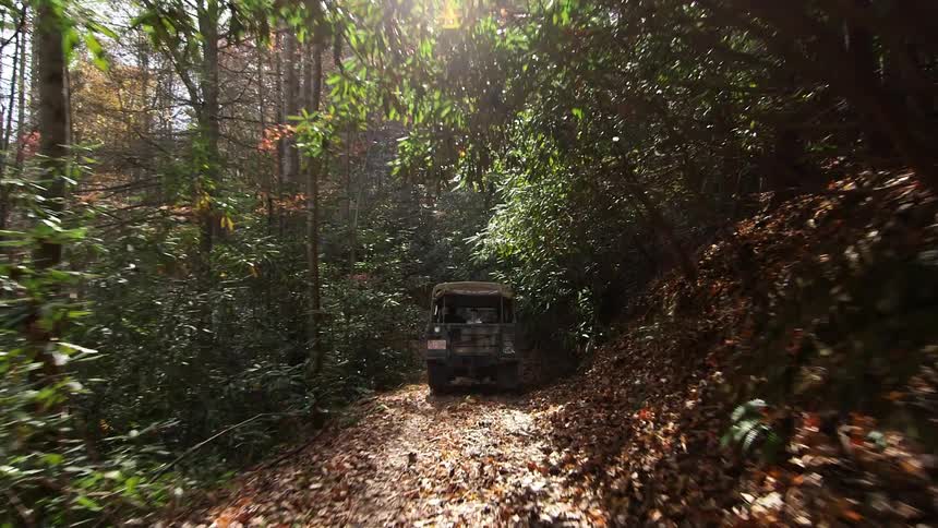 A vehicle drives through a forest with fall foliage