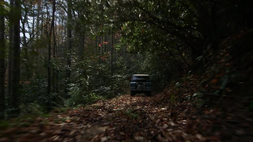 A truck drives down a forest road