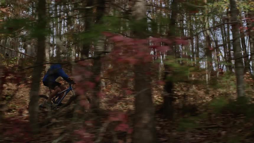 A man bicycles through a forest