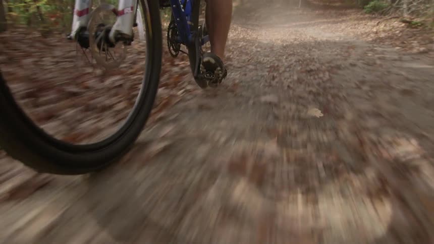 A mountain biker rides down a forest trail