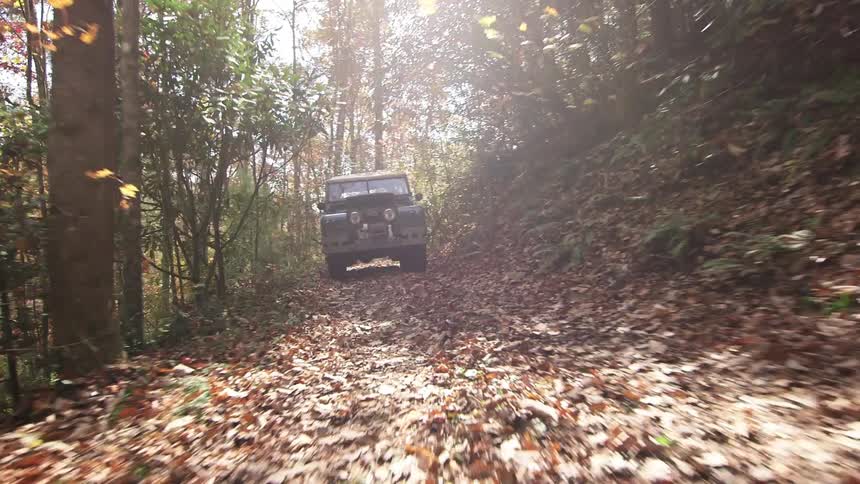 A truck drives down a forest path