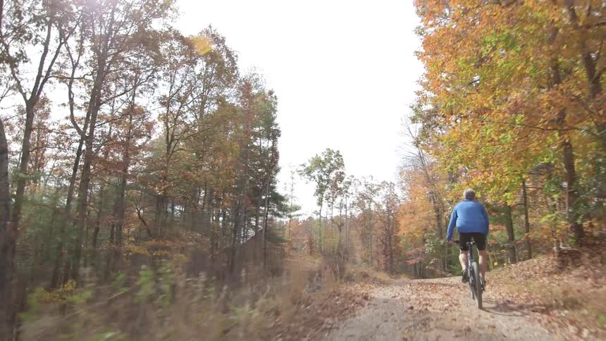 A mountain biker rides down a forest trail