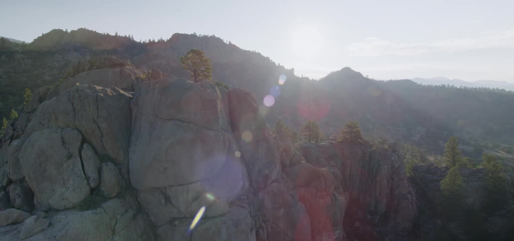A rocky cliff has a tree growing on top of it