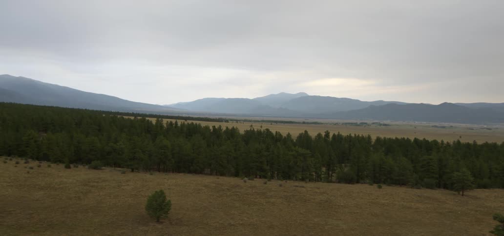 Pine trees grow near a mountain range