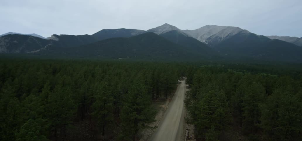 A road through a forest near a mountain
