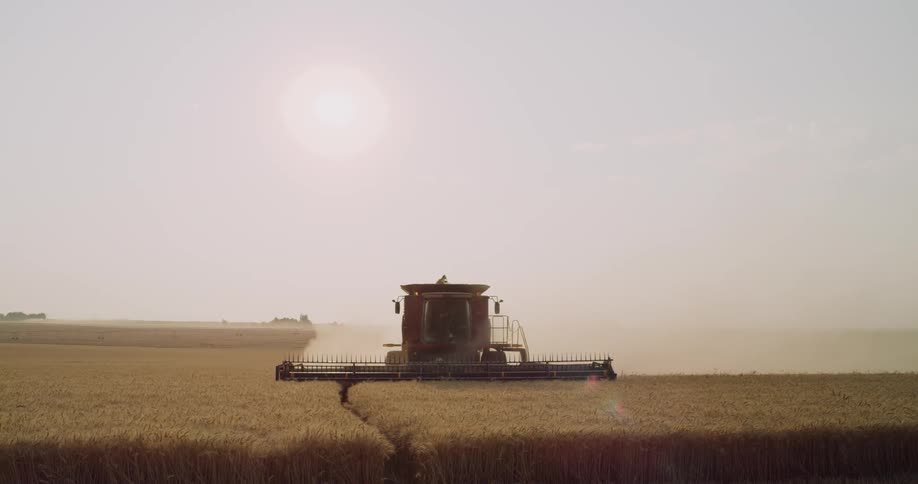 A large tractor is harvesting a crop