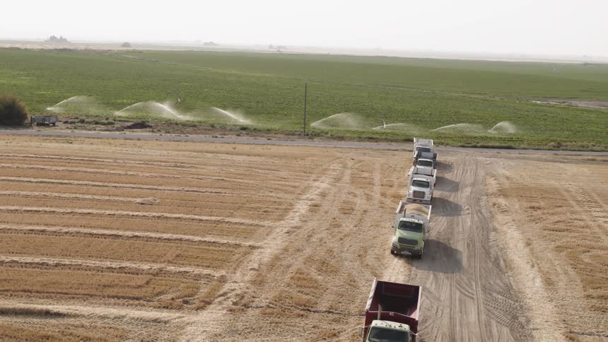 Trucks parked on a dirt road next to large field being watered