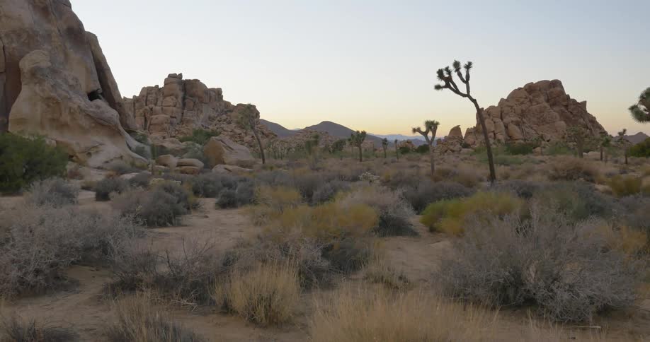 A desert landscape