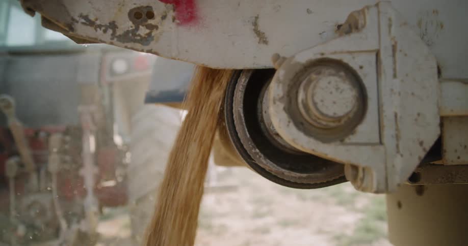 Grain is being poured out of a truck
