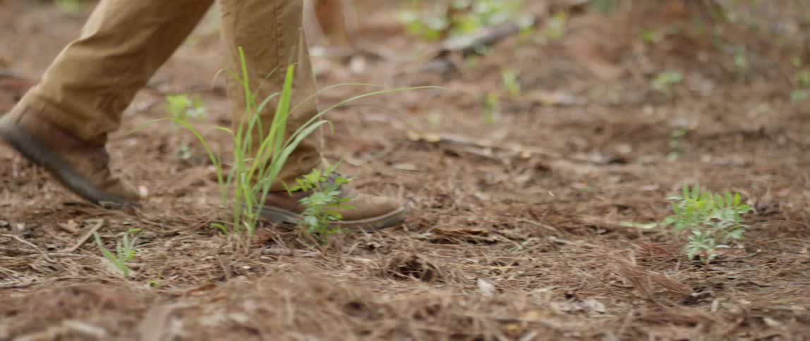 Someone is walking through a dirt path