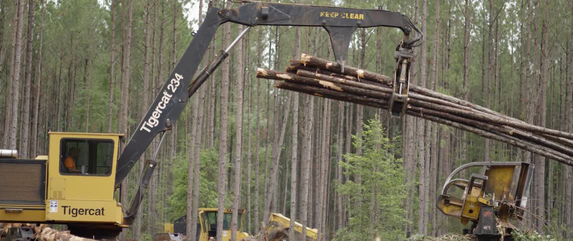A piece of machinery is gathering up a stack of logs