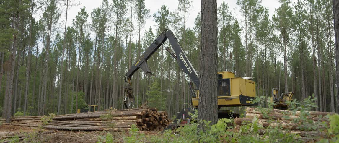 A crane is picking up logs and stacking them up together