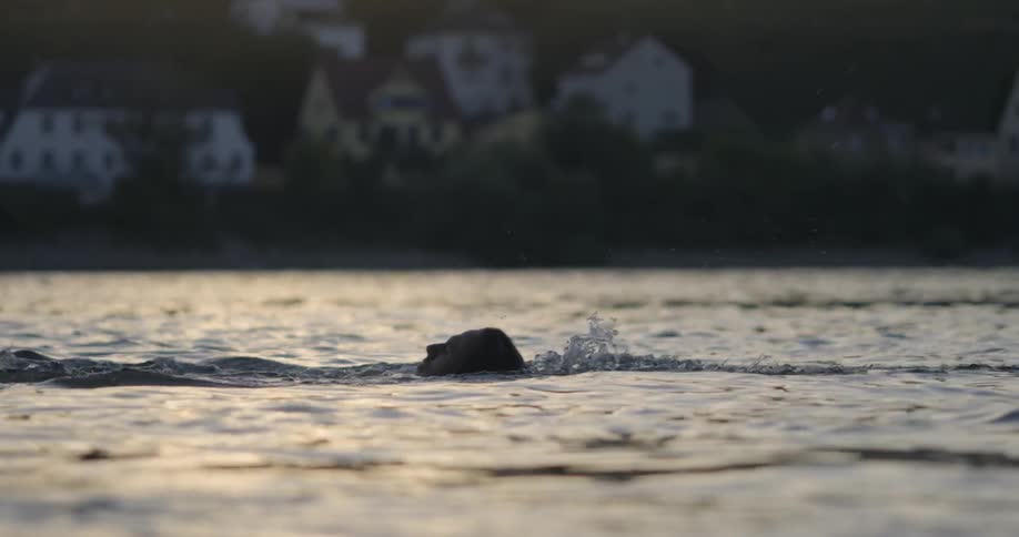 Man swims in a lake at sunset