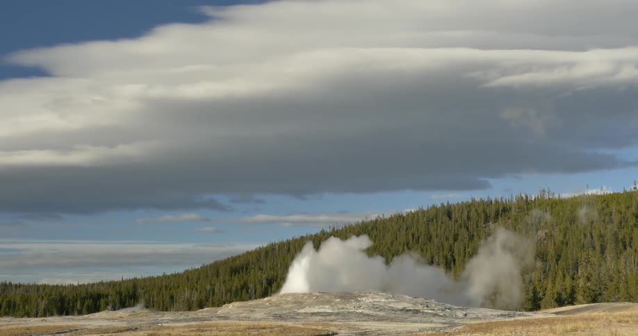A geyser erupts in a flat wilderness area