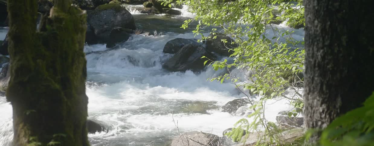 Water cascades over rocks in a river