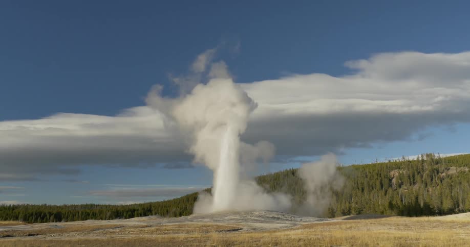 A geyser erupts in the wilderness
