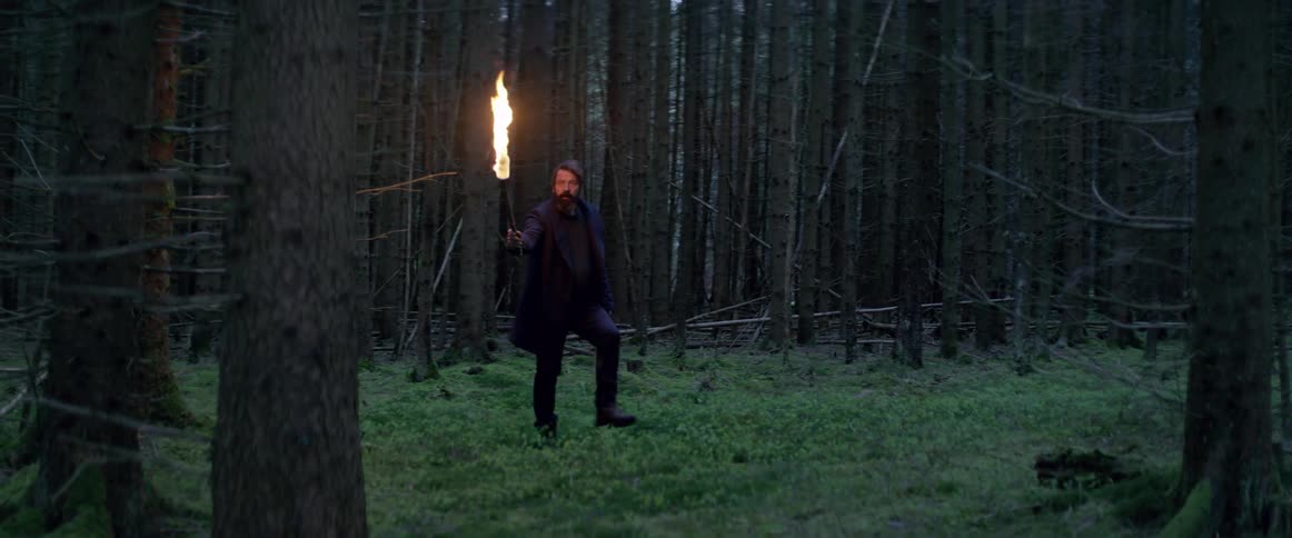 A man is carrying a torch in the woods