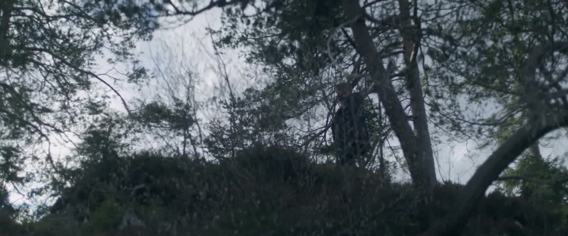 A man walks toward a ridge line in a forest on a cloudy day