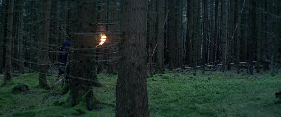 A man walks through woods with a burning torch