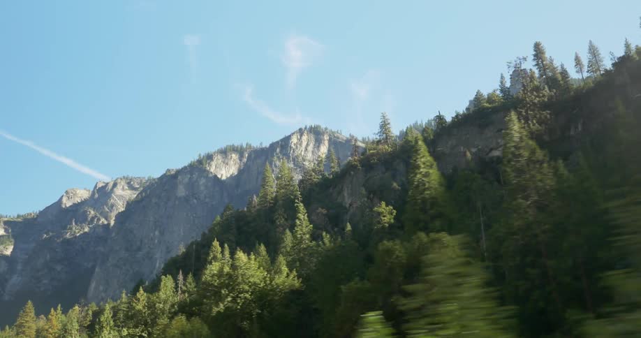 Trees and mountains in the daytime