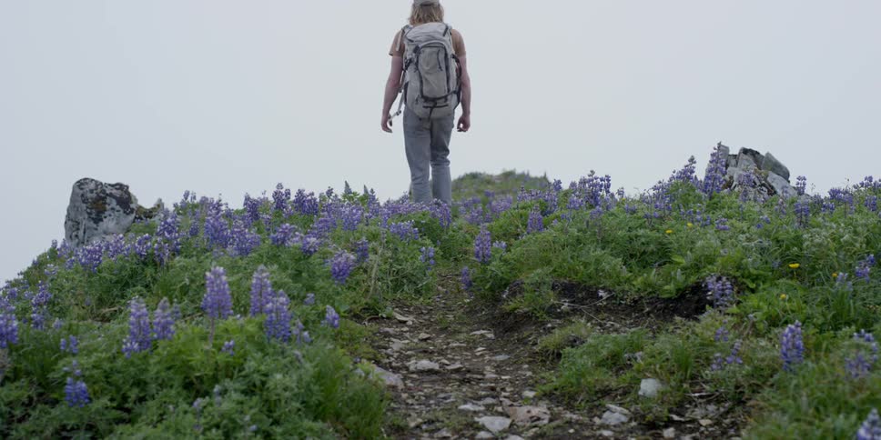 A man is walking along a path surrounded by lavender flowers