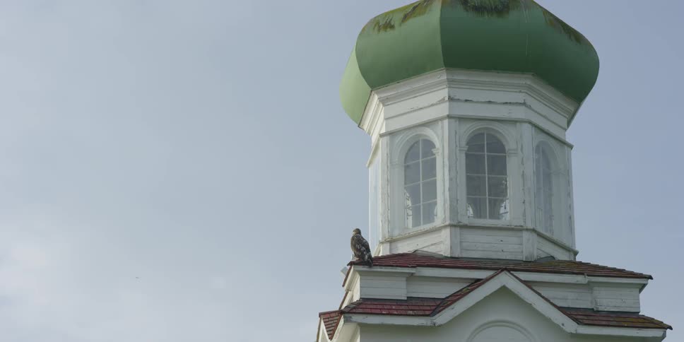 A bird sits on a rooftop