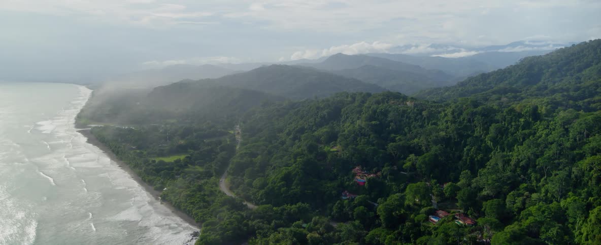 A hilly forest near the beach