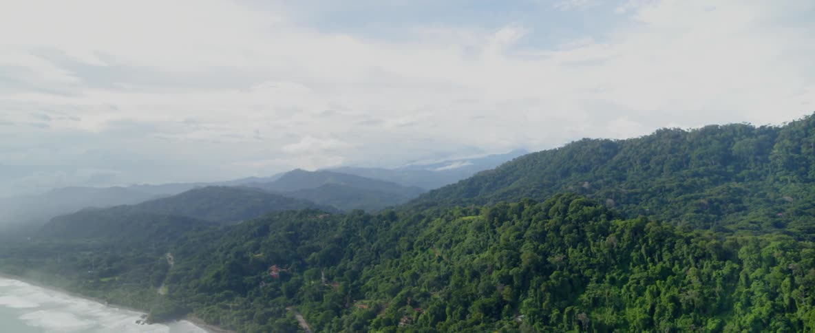 Tree lined hills and valleys