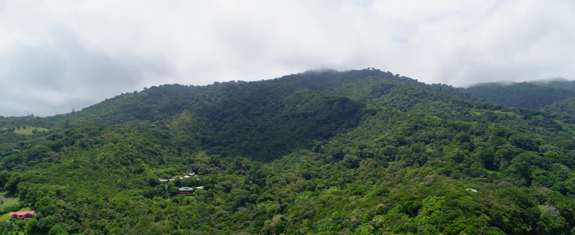 There are houses in this tree covered mountain range