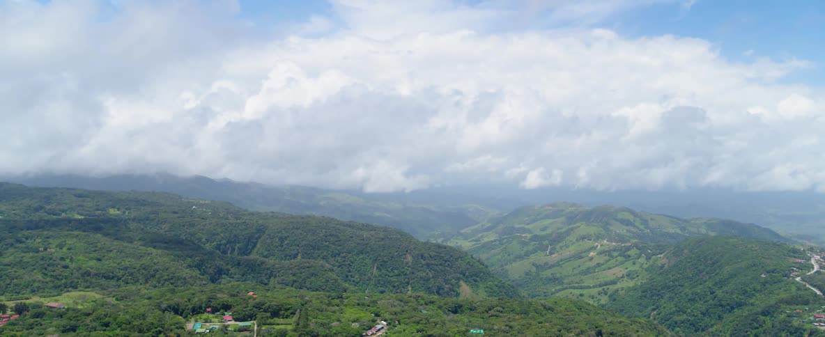 A small town is nestled in the middle of a large green forest