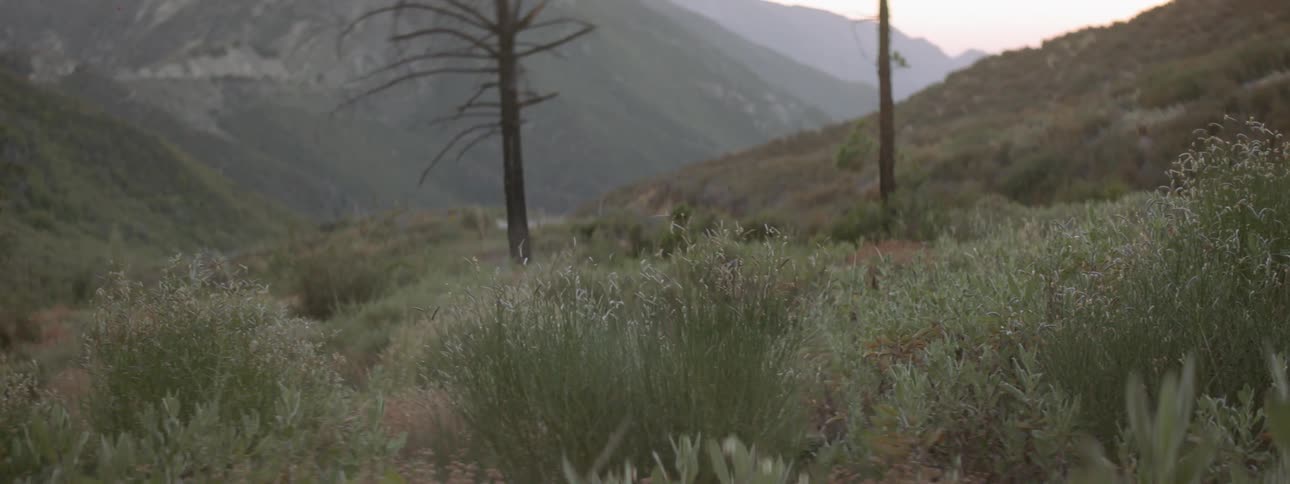 A man hobbles through a field and falls while shooting a handgun