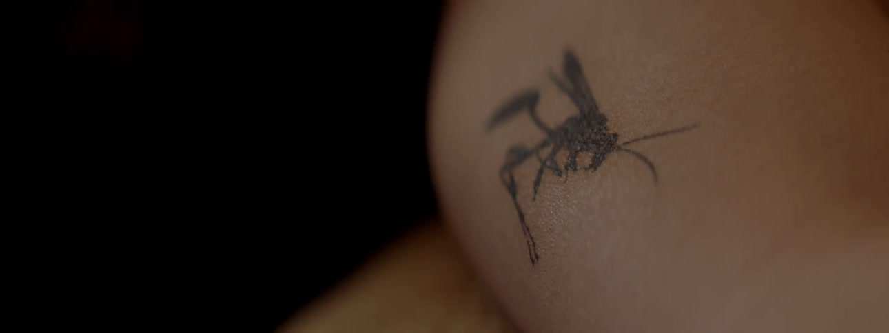 Light shines on an insect tattoo