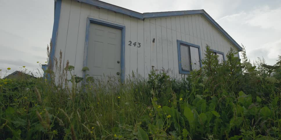 A small house is surrounded by weeds